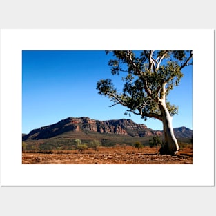 Australian Outback of the Flinders Ranges Posters and Art